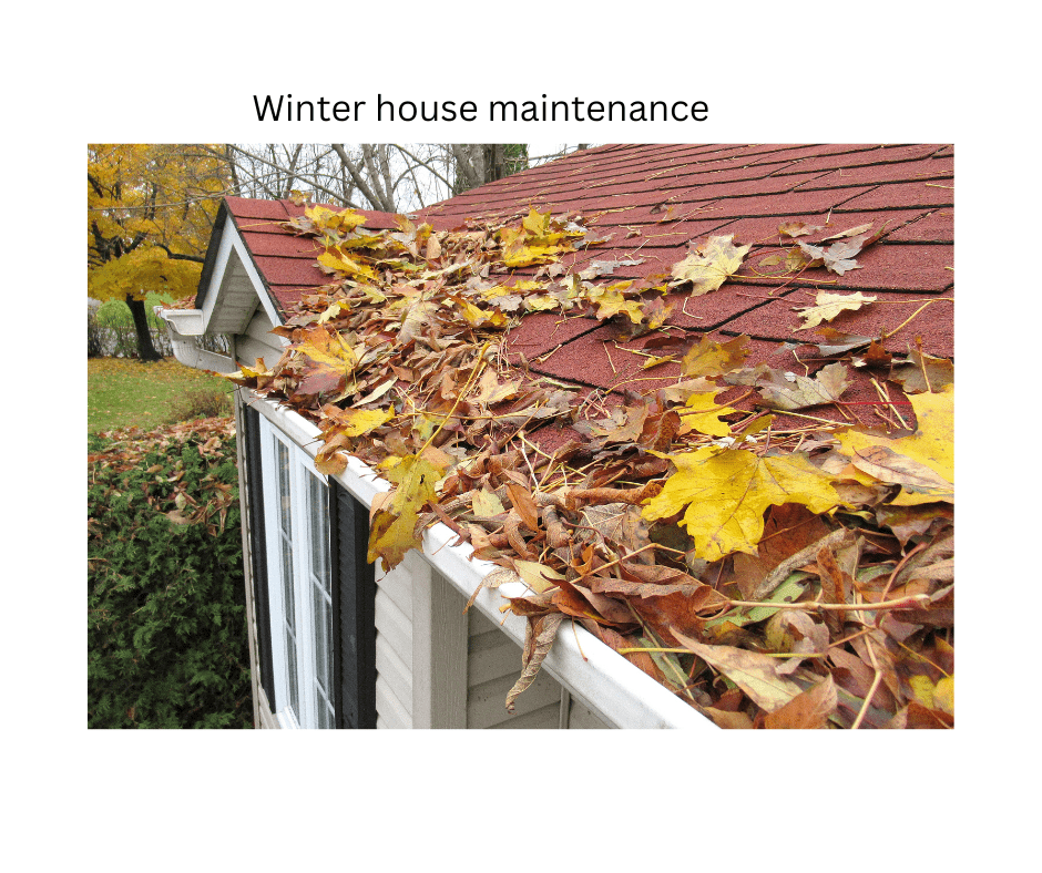 Leaves on roof